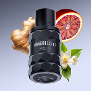 Avari, All Products