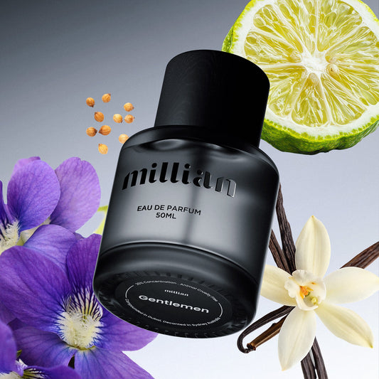 Avari (Copy) LV's Imagination